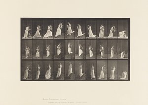 Talíř 515. Vzestupné a sestupné schody atd., 1885 od Eadweard Muybridge