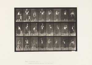 Talíř 517. Různé pohyby s nádobou na vodu od Eadweard Muybridge
