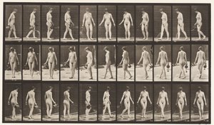 Talíř 51. Chůze a točení kolem, pomocí kropicí nádoby, 1872-1885 od Eadweard Muybridge