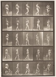 Deska 528. A,B,C od Eadweard Muybridge