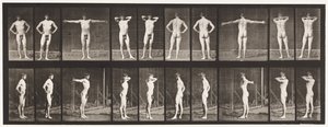 Talíř 529. Různé pózy od Eadweard Muybridge