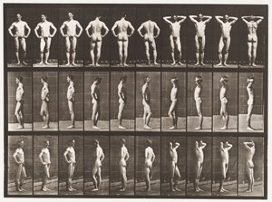 Talíř 530. Různé pózy od Eadweard Muybridge
