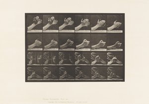 Talíř 533.Pohyb ruky; Spínající ruce, 1885 od Eadweard Muybridge