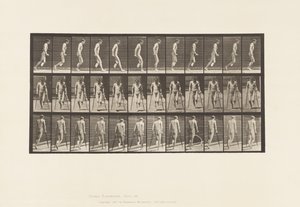 Dlaha 537. Jednoduchá amputace nohy; Poskakování s berlemi od Eadweard Muybridge