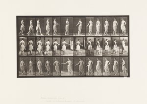 Talíř 53. Chůze, rozhazování květin a otáčení od Eadweard Muybridge