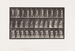 Deska 541. Roztroušená mozkomíšní skleróza (choreická); Chůze od Eadweard Muybridge