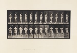 Talíř 542. Roztroušená mozkomíšní skleróza - Chůze od Eadweard Muybridge