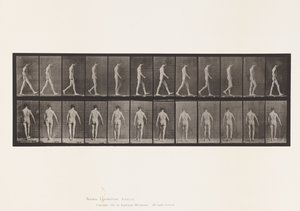 Deska 546.Lokomotorická ataxie; Chůze, 1885 od Eadweard Muybridge