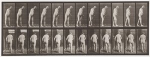 Talíř 547.Hemiplegie; Chůze s berlí, 1885 od Eadweard Muybridge