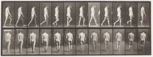 Talíř 549.Epilepsie; Chůze, 1885 od Eadweard Muybridge