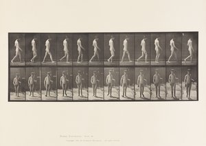 Talíř 551.Epilepsie; Chůze, 1885 od Eadweard Muybridge