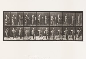 Talíř 552.Hemiplegie; Walking with Cane, 1885 od Eadweard Muybridge