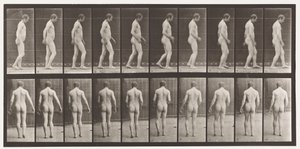 Talíř 553.Po traumatu hlavy; Chůze, 1885 od Eadweard Muybridge
