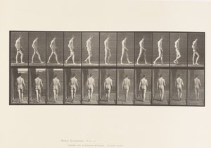 Deska 554.Lokomotorická ataxie; Chůze, 1885 od Eadweard Muybridge