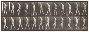Plate 555. Svalová atrofie nohou; Dospělý, A, B, Chůze, 1885 od Eadweard Muybridge