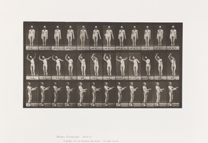 Talíř 557.Místní chorea; A, B, C, ve stoje, 1885 od Eadweard Muybridge