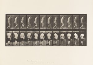 Talíř 558.Paraplegie; Částečný; Chůze, 1885 od Eadweard Muybridge