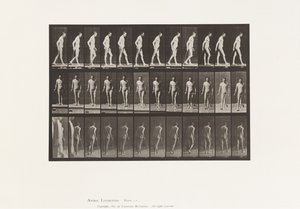 Deska 559. Roztroušená skleróza; Chůze s Cane od Eadweard Muybridge
