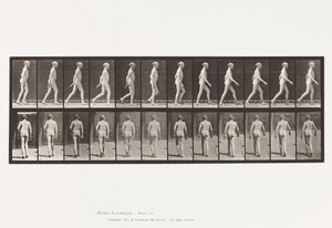 Talíř 562. Laterální zakřivení páteře; Chůze od Eadweard Muybridge