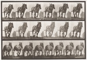 Talíř 566.Hauling;Dark-Gray Belgian Horse Dusel, 1885 od Eadweard Muybridge