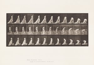 Talíř 56. Chůze, otáčení a shýbání do zvedacího vlaku od Eadweard Muybridge