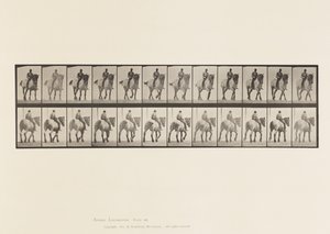 Talíř 578.Chůze; Holá záda; Tmavě šedý belgický kůň Dusel od Eadweard Muybridge