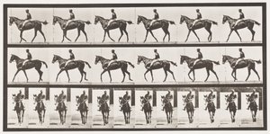 Talíř 580.Chůze; Sedlo; Plnokrevná Bay Mare Annie G., 1885 od Eadweard Muybridge