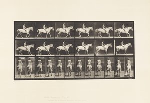 Talíř 582. Chůze;Sedlo; Jezdec, 43 let, nahý; Světle šedý kůň Smith od Eadweard Muybridge