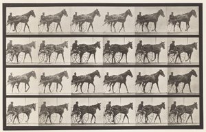 Talíř 587.Chůze; Sulky; Sorrel Mare Nellie Rose, 1885 od Eadweard Muybridge
