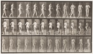 Talíř 58. Chůze, otáčení se zametání podlahy od Eadweard Muybridge