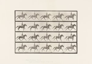 Talíř 591.Houpací od Eadweard Muybridge