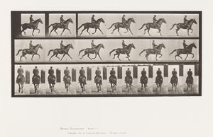 Talíř 601. Klusání; Sedlo; Hnědá klisna krása od Eadweard Muybridge