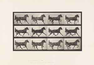 Talíř 606. Klusání; Sulky; Bay Horse, Ruben od Eadweard Muybridge