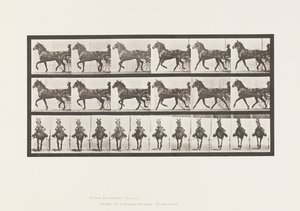 Talíř 612. Klusání; Sulky; Bay Horse, Dereumd od Eadweard Muybridge