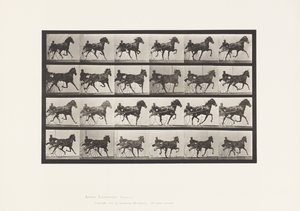 Talíř 613. Klusání; Sulky; Sorrel Mare Nellie Rose od Eadweard Muybridge