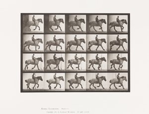 Talíř 615. Canter: Bez sedla; Tmavě šedý belgický kůň Jeníček od Eadweard Muybridge