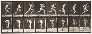 Talíř 61. Běží plnou rychlostí (nedokonalá akce, boty) od Eadweard Muybridge