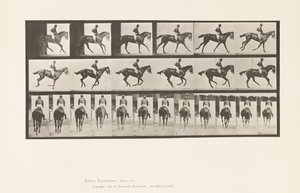 Talíř 620. Canter; Sedlo; Plnokrevná Bay Mare Annie 6. od Eadweard Muybridge