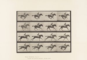 Talíř 626. Cval; Plnokrevná Bay Mare Annie G. od Eadweard Muybridge