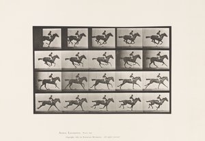 Talíř 627. Cval; Plnokrevná Bay Mare Annie G. od Eadweard Muybridge
