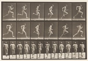 Talíř 62. Běží plnou rychlostí., 1872-1885 od Eadweard Muybridge