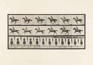 Talíř 632. Cval; Sedlo; Kytice plnokrevného hnědáka od Eadweard Muybridge