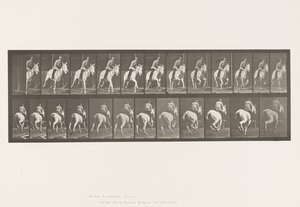 Talíř 635. Cval; Sedlo; Grey Mare, Pandora od Eadweard Muybridge
