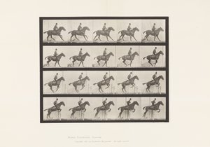 Talíř 636. Skok přes překážku; Sedlo; Příprava na skok od Eadweard Muybridge