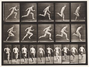 Talíř 63. Běží plnou rychlostí. od Eadweard Muybridge