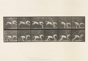 Talíř 641. Skok přes překážku; Sedlo; Klepání přes překážku a od Eadweard Muybridge