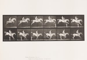 Talíř 643.Jumping a Hurdle; Bez sedla; Clearing and Landing; od Eadweard Muybridge