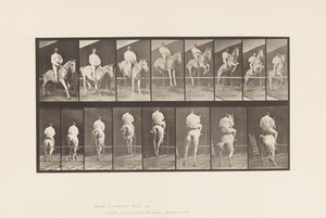 Talíř 645.Jumping a Hurdle; Sedlo; Vyčištění a přistání od Eadweard Muybridge