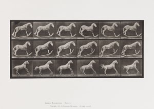 Talíř 649.A, Sršeň, Houpací; B, Eagle, Rolling Barrel, atd. od Eadweard Muybridge