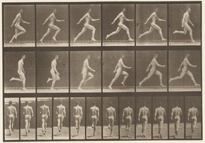 Talíř 64. Běží při plné rychlosti od Eadweard Muybridge